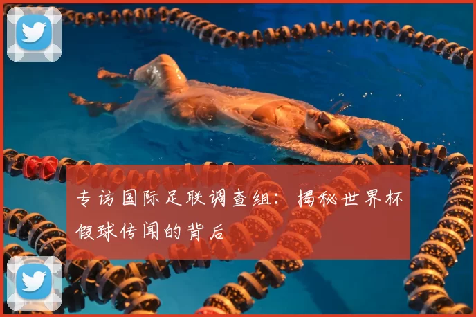 专访国际足联调查组：揭秘世界杯假球传闻的背后