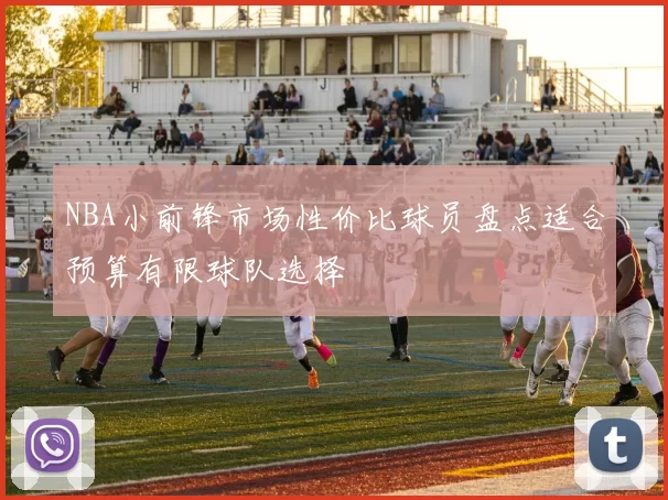 NBA小前锋市场性价比球员盘点适合预算有限球队选择