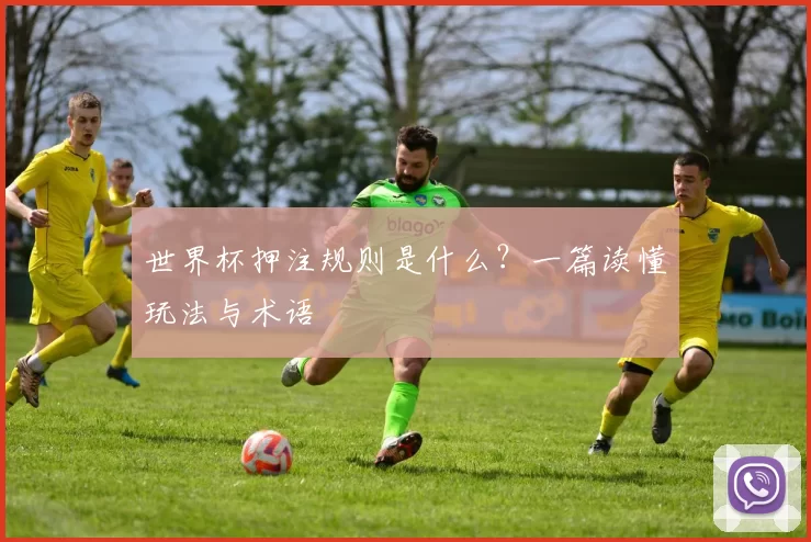 世界杯押注规则是什么？一篇读懂玩法与术语