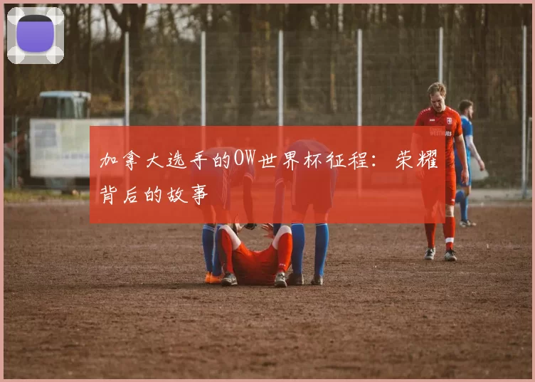 加拿大选手的OW世界杯征程:荣耀背后的故事