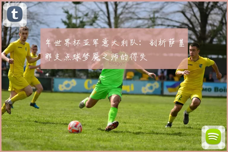 年世界杯亚军意大利队：剖析萨基那支点球梦魇之师的得失