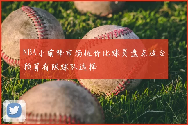 NBA小前锋市场性价比球员盘点适合预算有限球队选择