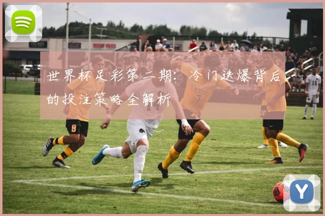 世界杯足彩第二期：冷门迭爆背后的投注策略全解析