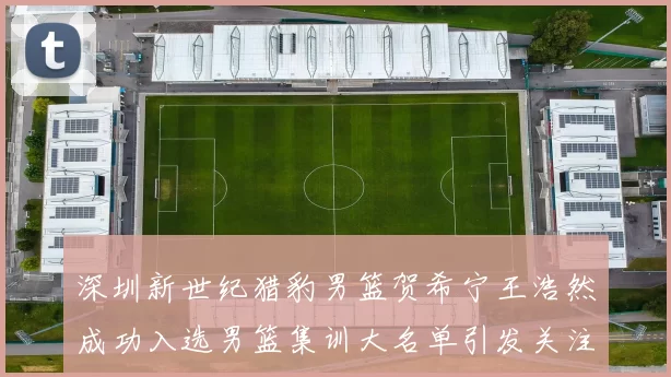 深圳新世纪猎豹男篮贺希宁王浩然成功入选男篮集训大名单引发关注