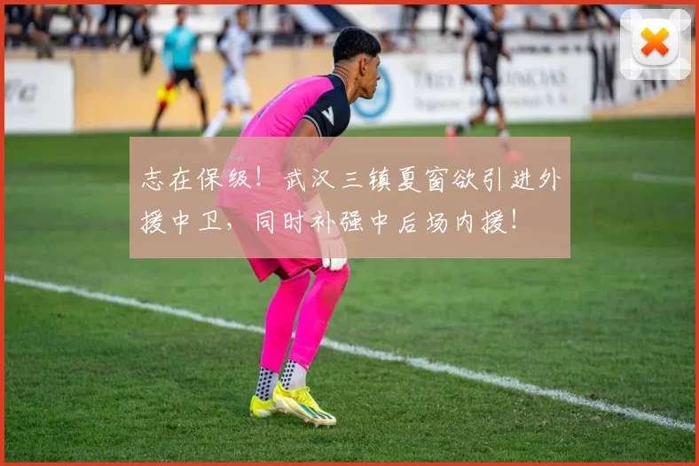 志在保级!武汉三镇夏窗欲引进外援中卫,同时补强中后场内援!