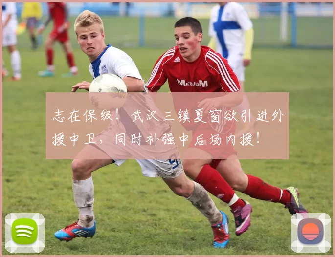 志在保级!武汉三镇夏窗欲引进外援中卫,同时补强中后场内援!
