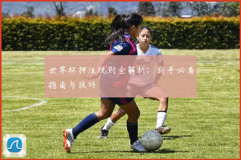 世界杯押注规则全解析：新手必看指南与技巧